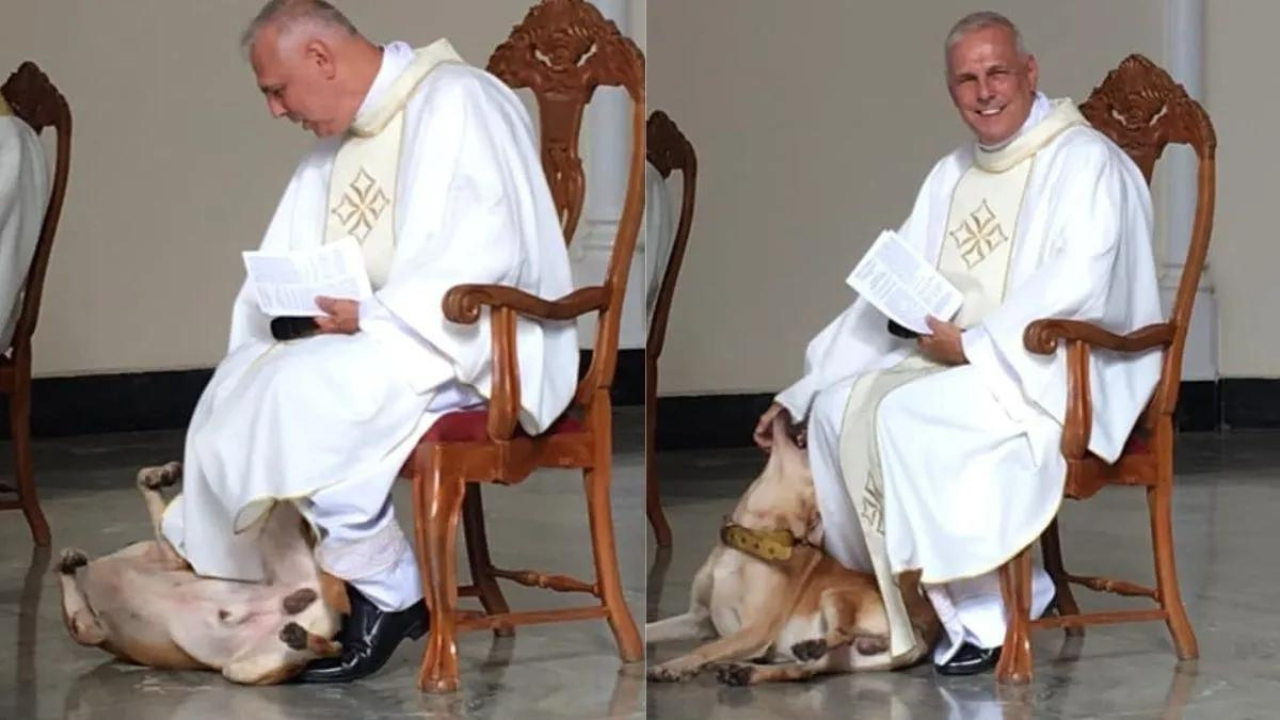 Cachorro de rua chega à igreja e interrompe missa para receber um