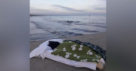 Homem leva cachorro para uma última caminhada na praia para vê-lo feliz antes de partir