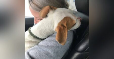 Cachorro ‘agradece’ mulher que o resgatou com o abraço mais doce e sincero