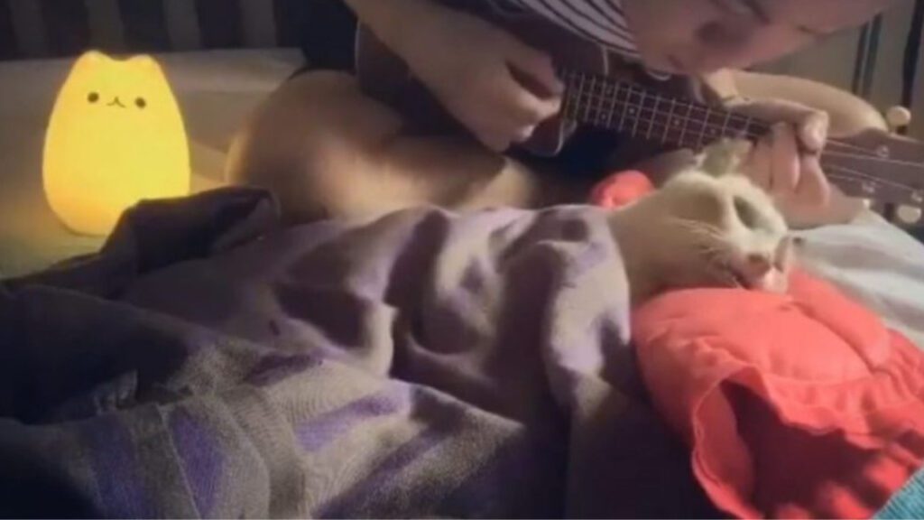 Jovem emociona ao cantar uma última música ao seu gatinho antes de dizer adeus pra sempre