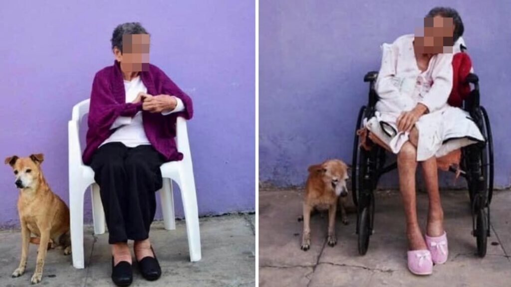 Vovó e cachorrinho se tornam amigos inseparáveis e estão juntos há 18 anos: “O filho mais fiel da mamãe”