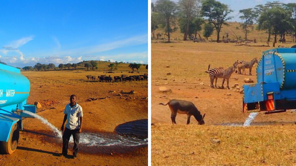 Homem dirige por horas para levar água aos animais que lutam para sobreviver na seca