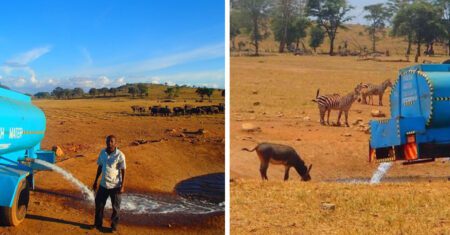 Homem dirige por horas para levar água aos animais que lutam para sobreviver na seca