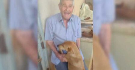 Vovô de 90 anos fica tão feliz depois que finalmente conseguiu adotar um cachorrinho