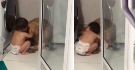 Menina consola cachorrinho que estava tremendo de medo do barulho dos trovões