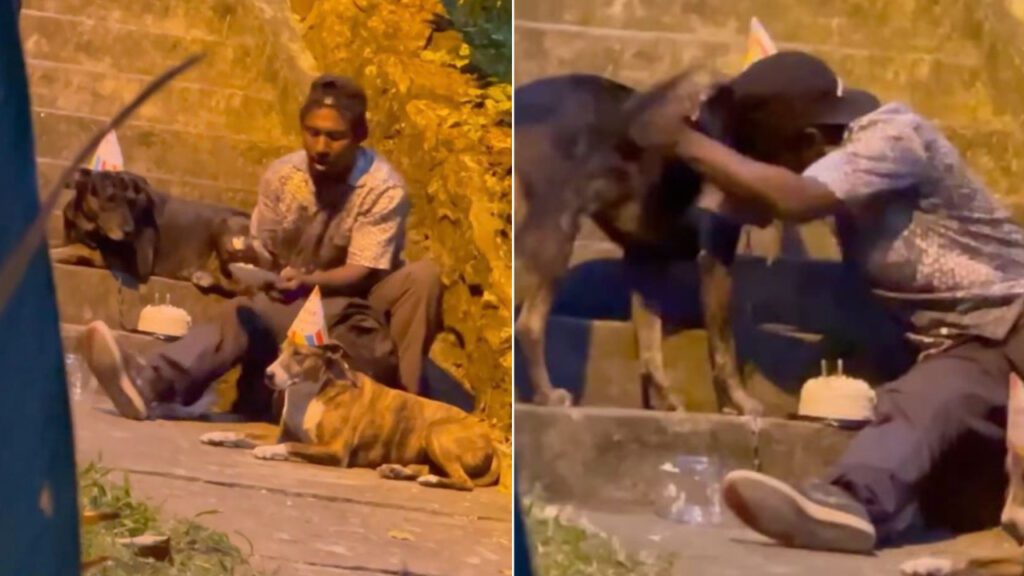 Morador de rua comemora o aniversário de seus cachorros e se torna viral