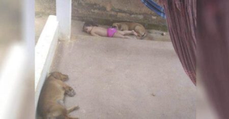 Mãe estranha calmaria na casa e encontra filha tirando uma ‘soneca’ no pátio com o cachorro