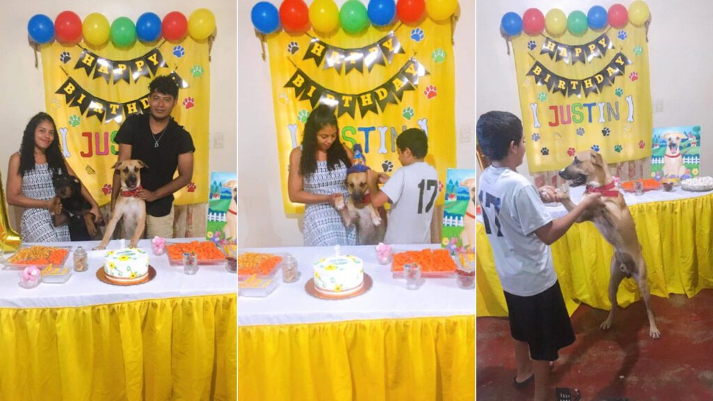 Família é criticada por “desperdiçar” dinheiro em festa de aniversário de cachorrinho