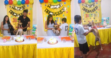 Família é criticada por “desperdiçar” dinheiro em festa de aniversário de cachorrinho