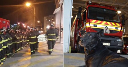 Em lágrimas, bombeiros se despedem de cachorrinho que esteve com eles nas emergências mais difíceis