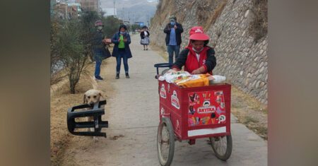 Cachorrinho companheiro ajuda dona a vender sorvetes carregando sua cadeira pelas ruas