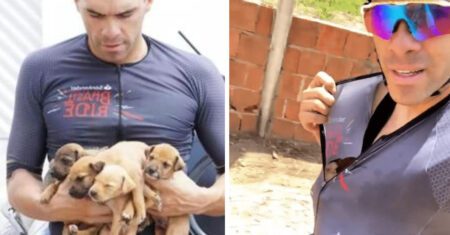 Ciclista salva 5 cachorrinhos que estavam perdidos em um buraco