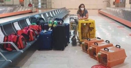 Mulher muda de país e leva seus 9 cães de estimação juntos e companhia aérea a parabeniza durante o voo