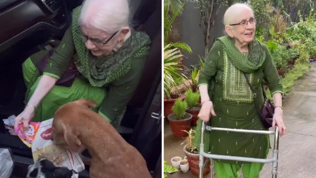 Vovó de 90 anos alimenta 120 cães de rua todas as manhãs