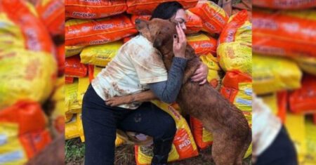 Mulher doou alimentos para abrigo que ficou sem comida e um cachorro pulou para abraçá-la