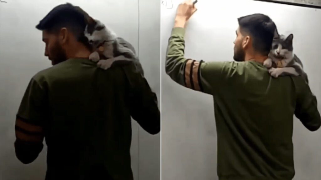 Professor carrega gatinho enquanto dá aulas para dar exemplo sobre como cuidar e respeitar os animais