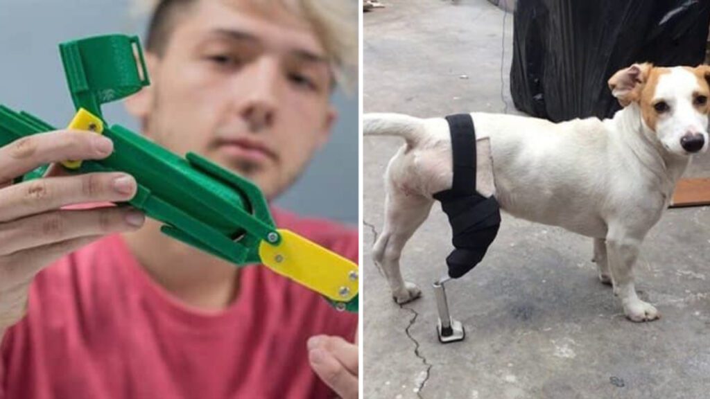 Jovem cria próteses para cachorros de rua com deficiência e as distribui gratuitamente