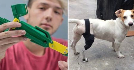 Jovem cria próteses para cachorros de rua com deficiência e as distribui gratuitamente