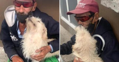 Homem se emociona ao reencontrar seu cachorrinho desaparecido: ‘Não vá mais’