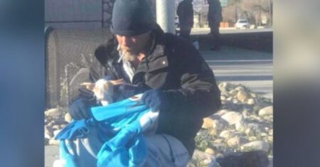 Morador de rua encontra pequeno chihuahua abandonado na beira da estrada e o resgata