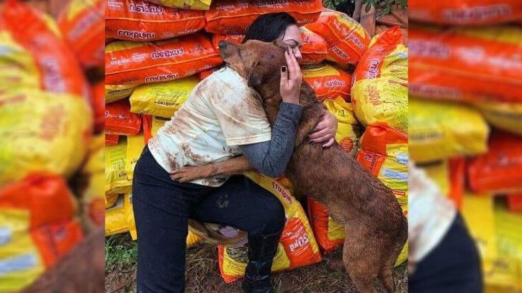 Mulher recebe abraço carinhoso de cão como forma de agradecimento por ter levado alimento a um abrigo