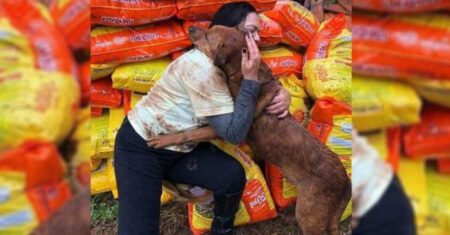 Mulher recebe abraço carinhoso de cão como forma de agradecimento por ter levado alimento a um abrigo