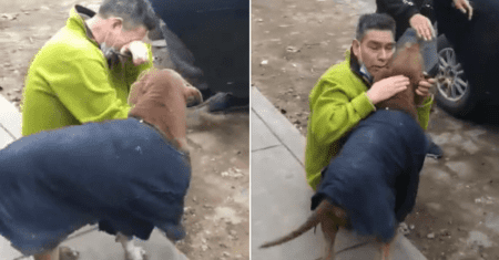 O reencontro emocionante de um homem e seu cachorrinho perdido que passou 5 meses na rua