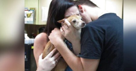 Família encontra cão perdido após 6 anos e se emocionam após se verem novamente