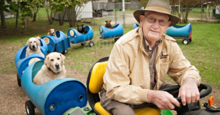 Homem de 80 anos constrói trem para andar com cães de rua e encontrar lares para eles