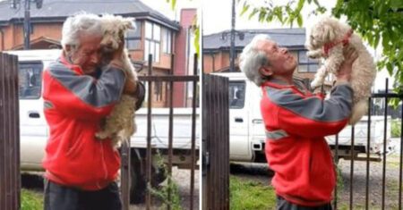 Depois de dias de angústia, idoso reencontra cachorrinho que havia perdido durante viagem e emociona a todos