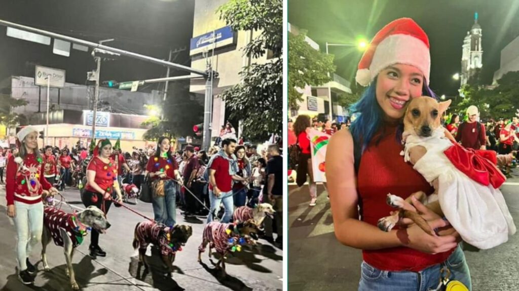 Cachorrinhos deficientes dão show em desfile de natal e recebem aplausos de milhares de pessoas