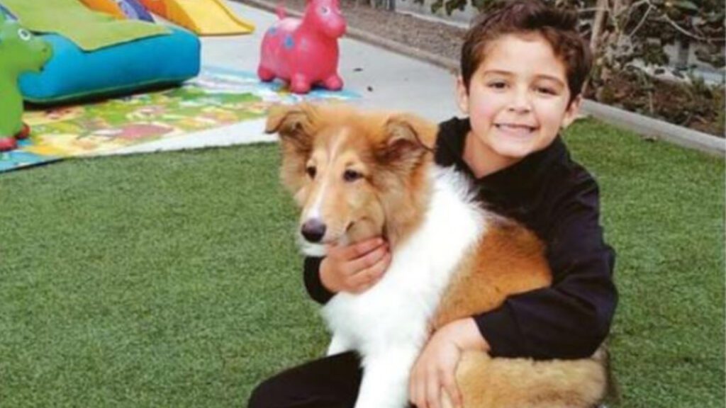 Em vez de presentes de aniversário, menino pede doações para cães de rua: “As pessoas têm que ser solidárias”