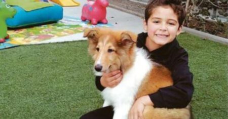 Em vez de presentes de aniversário, menino pede doações para cães de rua: “As pessoas têm que ser solidárias”