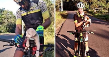 Ciclistas param e resgatam cachorro que foi deixado para trás dentro de uma bolsa