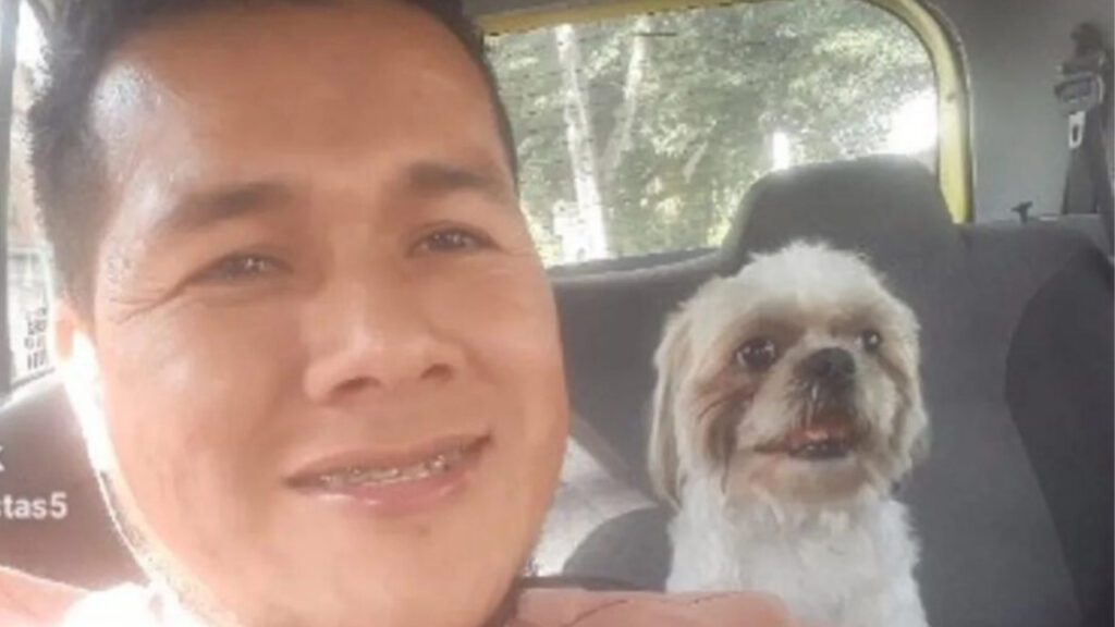 Cachorrinho é deixado dentro de táxi e dono do veículo decide adotá-lo