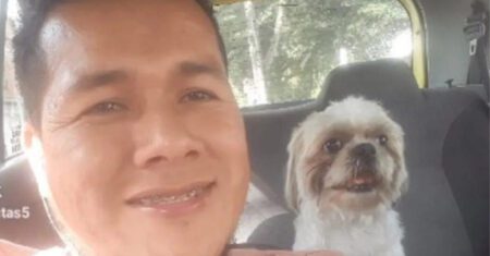 Cachorrinho é deixado dentro de táxi e dono do veículo decide adotá-lo