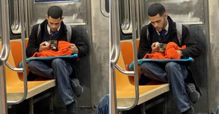 Jovem é visto no metrô alimentando um gatinho com uma mamadeira e ganha elogios