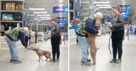 Cachorrinho é adotado no meio de uma loja e cena emociona a todos