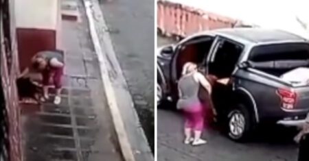 Mulher para o carro para socorrer cachorro que estava sozinho na rua pedindo ajuda