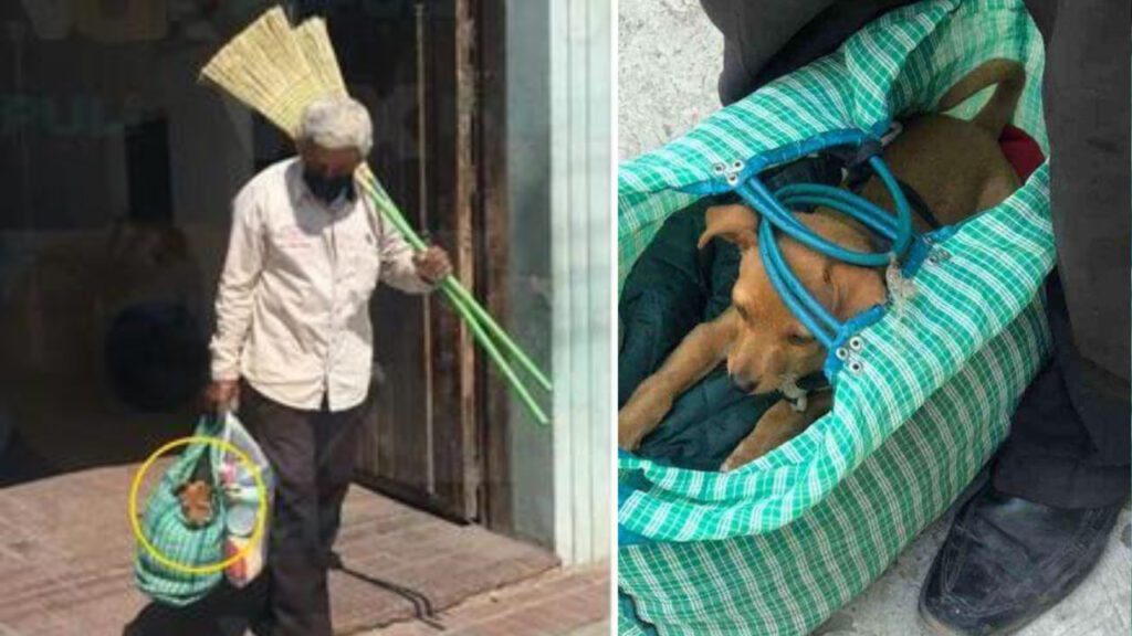 Vovõ sai para vender vassouras com seu cachorrinho para não deixá-lo sozinho em casa