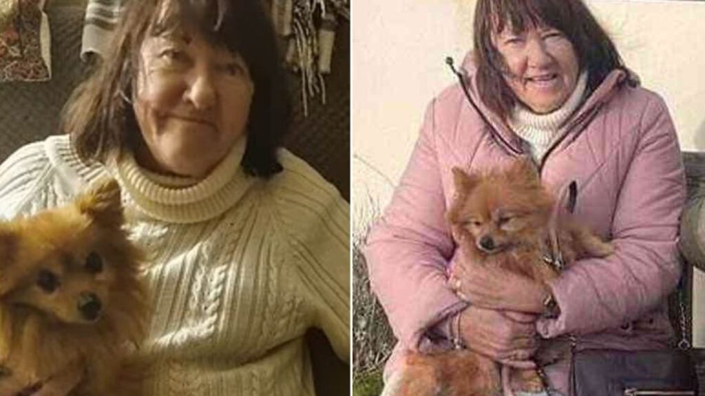 Cachorrinha que viveu 15 anos sem família finalmente é acolhida por idosa