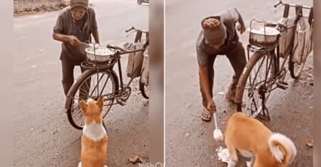 Homem para sua bicicleta e alimenta cachorrinho de rua