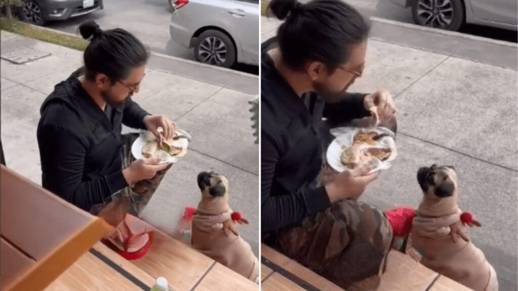 Jovem prefere comer fora do restaurante para ficar perto do seu cachorro e não deixá-lo sozino