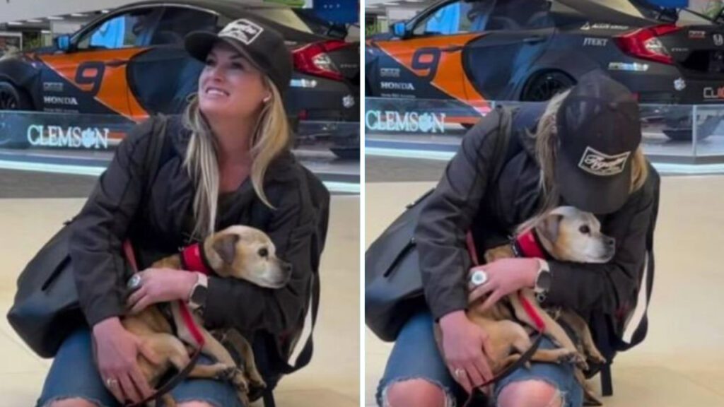 Jovem não aguentou a emoção e chora ao ver seu cachorrinho depois de 7 anos desaparecido