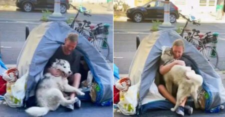 Husky se encanta com morador de rua e convence dono a ajudá-lo: “Ele me deu a mais bela lição de amor ao próximo”