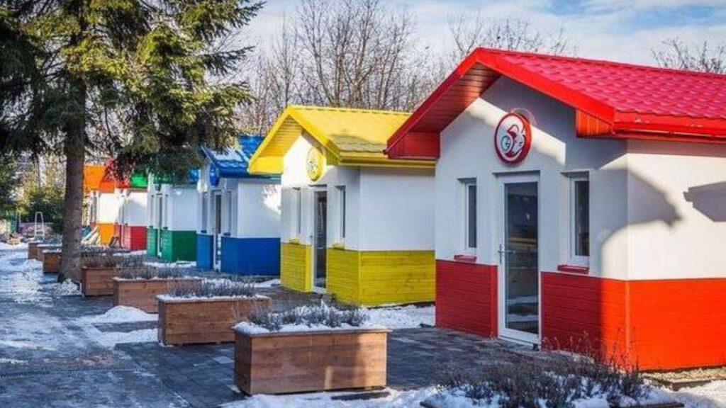 Veterinário realiza sonho e constrói vila inteira para cães com casas reais