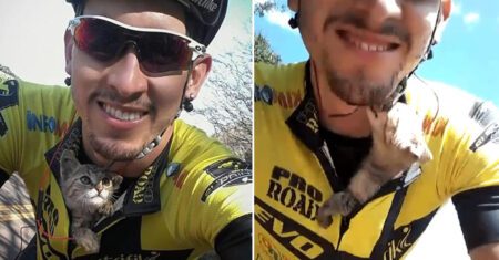 Ciclista brasileiro para no meio da estrada para salvar um gatinho e ele agradece com lambidas