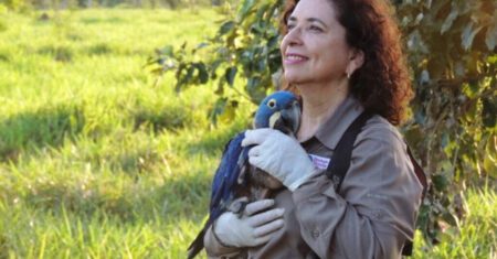 Brasileira trabalhou durante 30 anos para salva a arara-azul da extinção