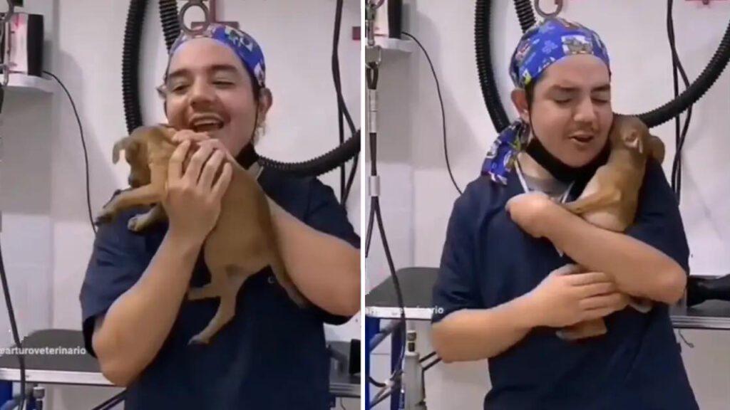 Veterinário é visto cantando e dançando com um cachorro para acalmá-lo