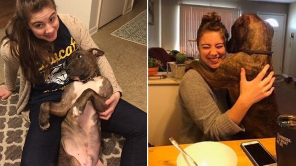 Cachorrinho resgatado ainda é grato e abraça sua mãe adotiva diariamente